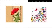 Салфетки для декупажа Мак/Лето (039) (2 шт) (33х33см) (упаковка)