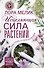 Исцеляющая сила растений. Чудо-травы от всех болезней - 0