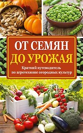От семян до урожая: краткий путеводитель по агротехнике огородных культур