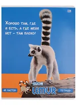 Тетрадь в клетку BG, "Лемур-шоу", 48 листов, в ассортименте