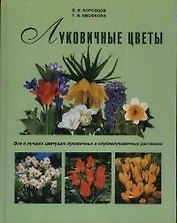 Луковичные цветы