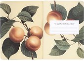 Тетрадь общая «Flora. Розовый», 48 листов в клетку, A5 - Be Smart - 2