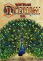 Удивительные птицы мира