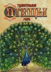 Удивительные птицы мира