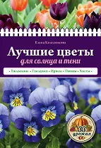 Лучшие цветы для солнца и тени