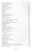Стояние в молитве. Рассказы о Святой Земле, Афоне, Царьграде - 2