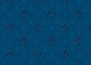 Пакет "Лилии синие" 24*20*8см