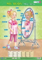 Учебный плакат. Английский язык. My body. Моё тело (Формат А2)