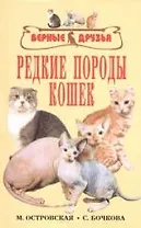 Редкие породы кошек