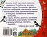 Потешки. Книжки-малышки с детским фольклором - 1