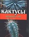 Кактусы: Выращивание и уход