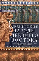 Семитские народы Древнего Востока: вавилоняне, ассирийцы, хананеи, евреи, арамеи, арабы, эфиопы