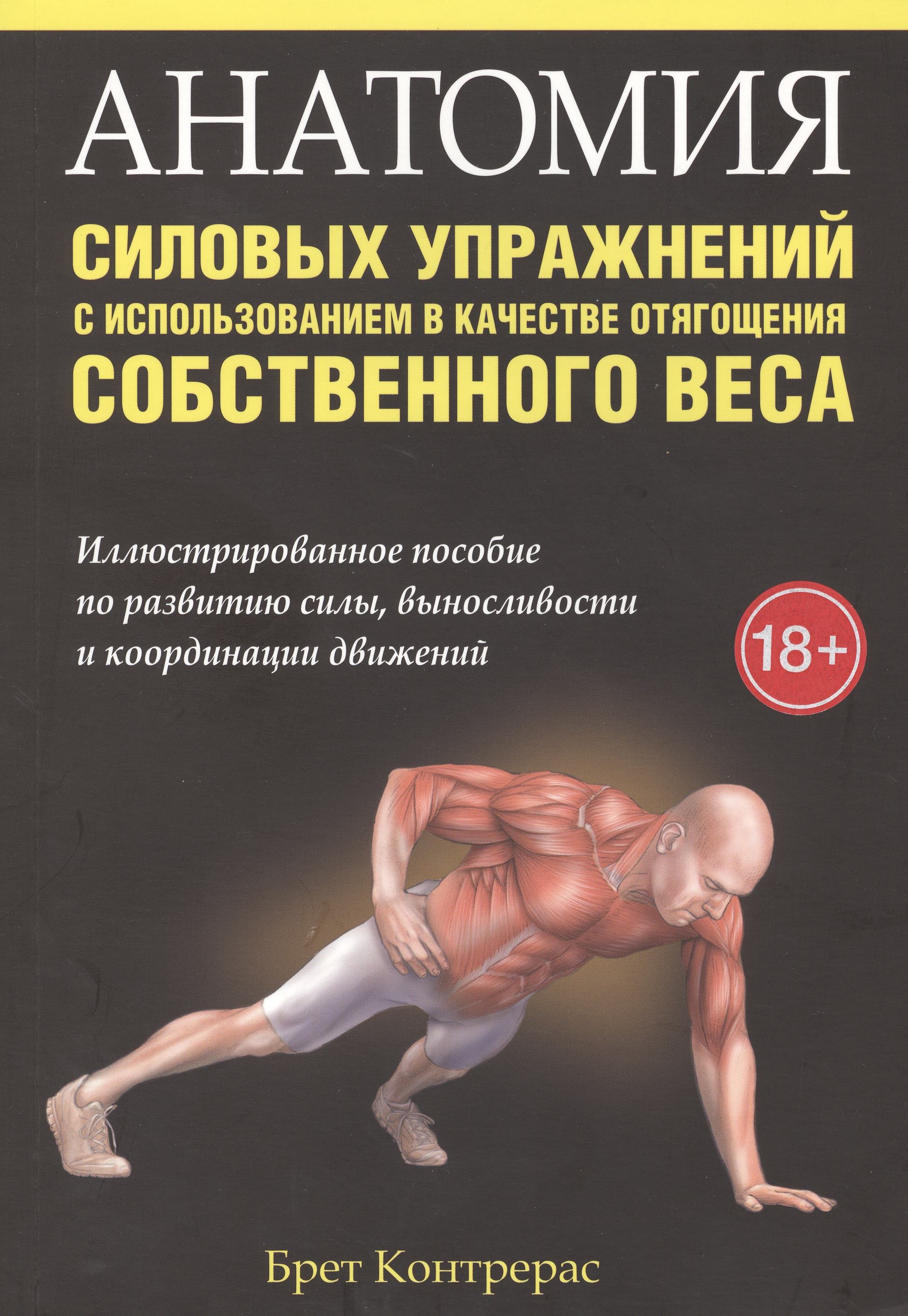 

Анатомия силовых упражнений с использованием в качестве отягощения собственного веса