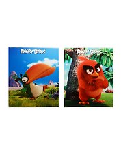 Тетрадь общая «Angry Birds - Выпуск №1 (Movie)», 48 листов в клетку, А5 - Hatber