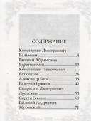 Стихи русских поэтов о природе - 1