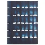 Тетрадь в клетку Asac, Urban lights, B5, 46 листов