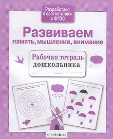 Развиваем память, мышление, внимание. Рабочая тетрадь дошкольника