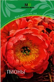 Пионы