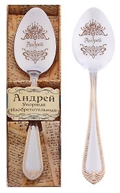 Ложка чайная в подарочной коробке Андрей (3х15) (615192)