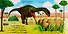 Baby Dinosaur - 1