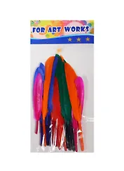 Перья для декорирования Мульти-цвет (11054600) (упаковка)