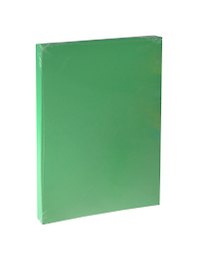 Бумага для пастели А4 "Iris Vivaldi" 240гр/м2, №29 зеленый, Canson