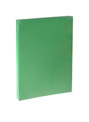 Бумага для пастели А4 "Iris Vivaldi" 240гр/м2, №29 зеленый, Canson
