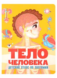 Тело человека. Детский атлас по анатомии