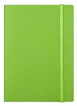 Ежедневник недат. А6+ 160л "Froggy" салатовый, иск.кожа., мягк.переплет, двойное ляссе, резинка, цветоч.срез, In Folio