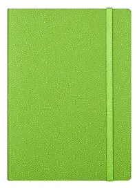 Ежедневник недат. А6+ 160л "Froggy" салатовый, иск.кожа., мягк.переплет, двойное ляссе, резинка, цветоч.срез, In Folio