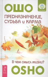 Предназначение, судьба  и карма. В чем смысл жизни?