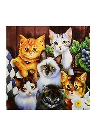 Салфетки бумажные Котята (502655) (33х33см) (набор/20 штук) (Страна Карнавалия) (упаковка)