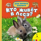 Кто живет в лесу?
