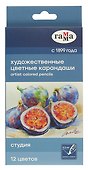 Карандаши цветные «Студия», 12 цветов, ГАММА - 0