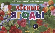 Лесные ягоды. Обучающие карточки