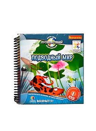 Магнитная игра для путешествий Подводный мир (BB0884) (Bondibon) (5+) (пружина)