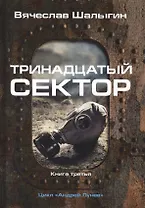 Тринадцатый сектор. Кн. 3. Цикл "Андрей Лунев"