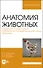 Анатомия животных. Неврология. Органы чувств. Особенности строения домашней птицы. Практикум. Учебное пособие для вузов - 0