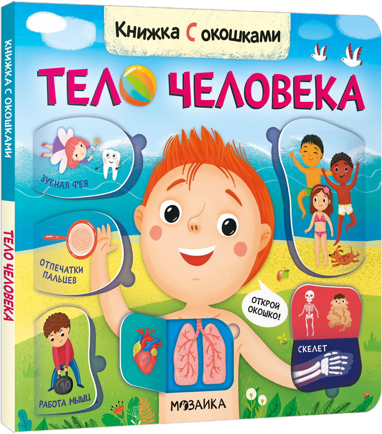 

Книжка с окошками. Тело человека