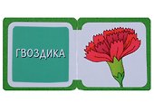 Мини-книжки ЭВА. Что здесь растёт? На клумбе - 2
