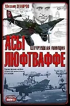 Асы Люфтваффе. Штурмовая авиация