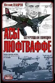Асы Люфтваффе. Штурмовая авиация