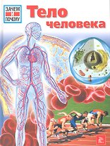 Тело человека (ЗиП) (Мир )