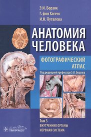 Анатомия человека. Том 3.