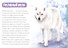 Обучающая книга «Полярные животные» - 2