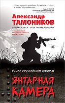 Янтарная камера