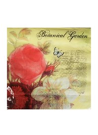 Набор д/творчества Салфетки д/декупажа 33*33см 20шт 3-х слойные Botanical Garden (AY-1670)