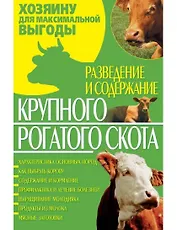 Разведение и содержание крупного рогатого скота