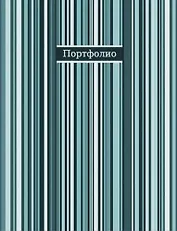 Портфолио универсальное Фактура полосы А4(253*310*25мм) на кольцах, 40 файлов ПВХ, обложка пластик
