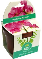 Набор для выращивания в горшочке Горошек (hpp-199)